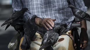 O Darülaceze'ye, güvercinler ona sığındı