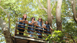 Ormanın hanım elleri