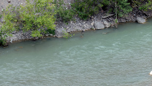 Otomobil Kelkit Çayı'na devrildi: 2 ölü, 3 yaralı