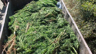 Samsun'da uyuşturucu operasyonu