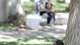 Sıcaklar Güneydoğu'yu kavuruyor