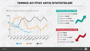 GRAFİKLİ- Temmuz ayının zam şampiyonu yurt içi turlar oldu