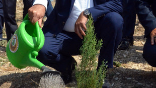 TİM Başkanı Büyükekşi, fidan dikim törenine katıldı