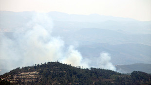 Türkiye-Suriye sınırında orman yangını