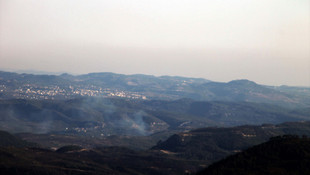 Türkiye-Suriye sınırındaki orman yangını