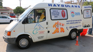 Yalova'da hayvan ambulansı haybulans hizmete girdi