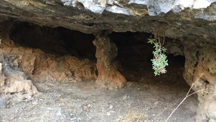 Cudi Dağında 3 terörist öldürüldü