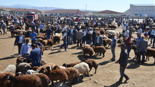 Ağrı'da kurban pazarında yoğunluk