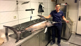 Antalyalı balıkçı 55 kilogramlık kılıç balığı yakaladı