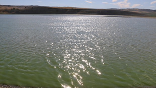 Atatürk Barajı'nda oksijen azalıyor