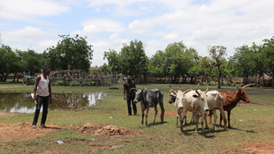 Avrupa Yetim-Der'den Afrika'da kurban yardımı