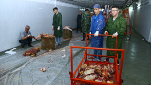 Azerbaycan'da Kurban Bayramı