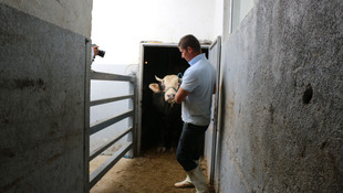 Balkanlarda Kurban Bayramı