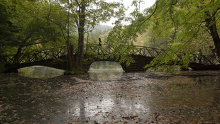 Korunan alanlara ziyaretçi akını