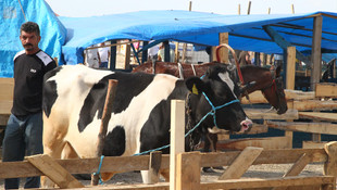 Besiciler çifte bayram yaşadı
