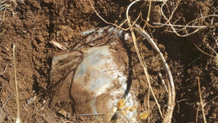 Bingöl'de terör operasyonu