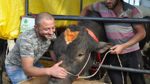 Bir tonluk Kocayusufu alana koyun hediye