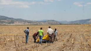 Burdurda hayvan otlatma kavgası: 3 ölü, 1 yaralı
