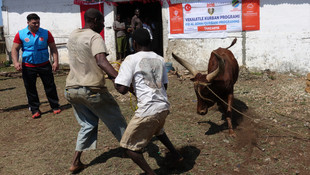 Cumhurbaşkanı Erdoğan'ın vekalet verdiği kurban Tanzanya’da kesildi