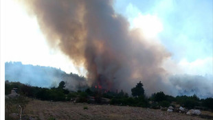 Denizli'de orman yangını