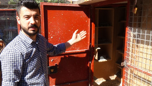 Dernek başkanının güvercinlerinin çalındığı iddiası