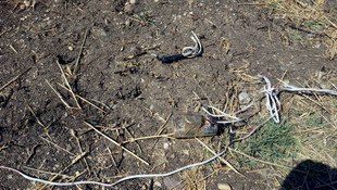 Diyarbakır'da terör operasyonu