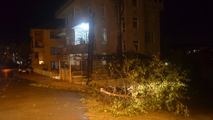 Düzce'de şiddetli rüzgar