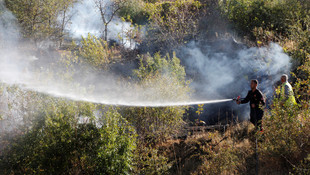 Elazığ'da orman ve örtü yangını