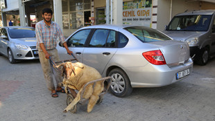 Gadir-i Hum Bayramı kutlanıyor