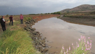Gaziantep’teki çayda toplu balık ölümleri