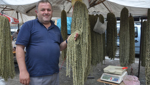 Geleneksel Gerede Hayvan ve Emtia Panayırı