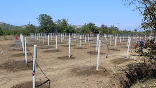 Genç Çiftçi Projesi köye geri dönüşleri artırdı