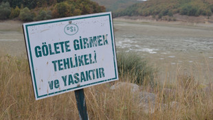 Gölet kuruyunca balıklar telef oldu