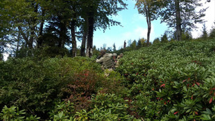 Gümüşhane'deki terör operasyonu