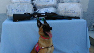 Hatay'da uyuşturucu operasyonu