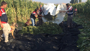 İzmir'de uyuşturucu operasyonu