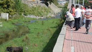 Kaçan boğa zor anlar yaşattı