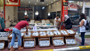 Sinopta bir gecede 7 bin kasa palamut avlandı