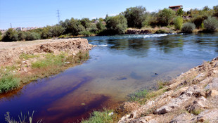 Kırıkkale'de dereden su içen koyunların zehirlendiği iddiası