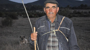 Köylüler her akşam kurt nöbetinde