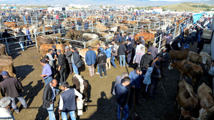 Kurban Bayramı'na doğru