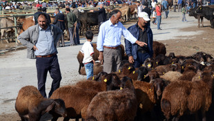 Kurban Bayramı'na doğru