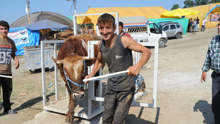 Samsunda bayram öncesi kurban pazarında hareketlilik arttı