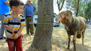 Kurban pazarlarında arife hareketliliği