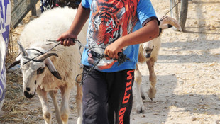 Kurban pazarlarında arife hareketliliği