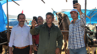 Kurbanlık deve Bilo pazarın gözdesi oldu