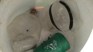 Mardin'de terör operasyonu