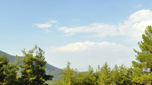 GÜNCELLEME - Muğla'da orman yangını