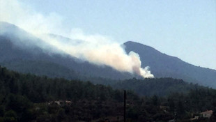 Muğla'da orman yangını