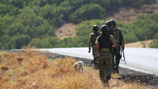 Muş'taki terör operasyonu